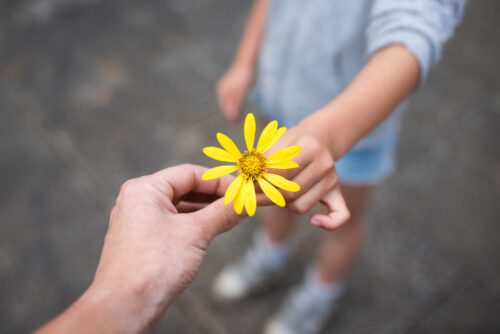 Two people sharing a yellow flower