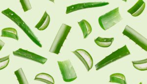 aloe vera segments on a green background